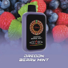 AONE VAPE CasinoX 賭場系列 拋棄式電子煙 16000口 Type-C