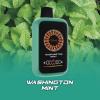 AONE VAPE CasinoX 賭場系列 拋棄式電子煙 16000口 Type-C