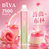 DIYA 拋棄式電子煙 7500口 13mL Type-C充電