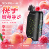 GEEK BAR Pulse X 25000 拋棄式電子煙 Type-C 快充