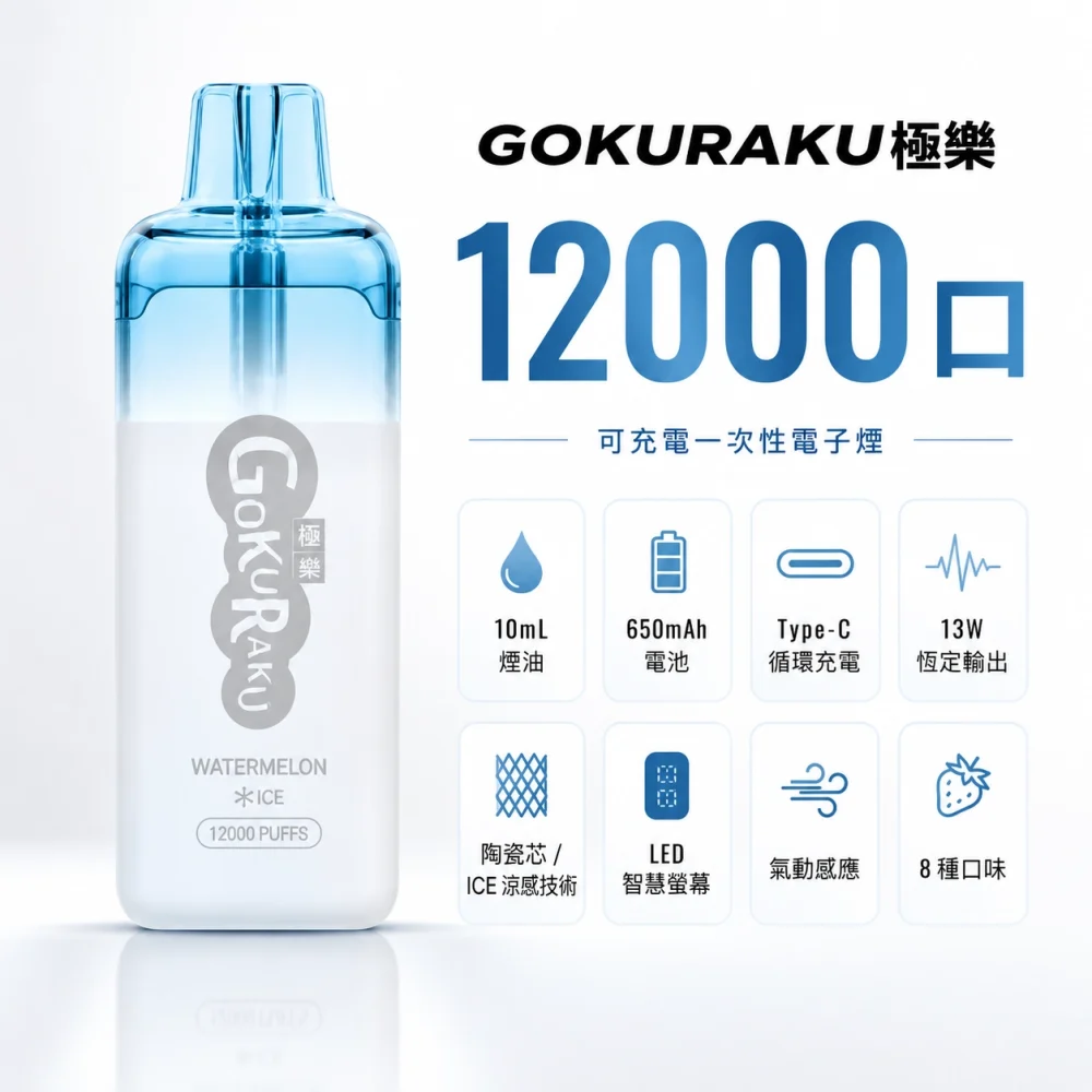 GOKURAKU 極樂 拋棄式電子煙 12000口 Type-C 13W