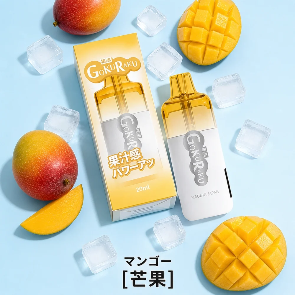 GOKURAKU 極樂 拋棄式電子煙 12000口 Type-C 13W