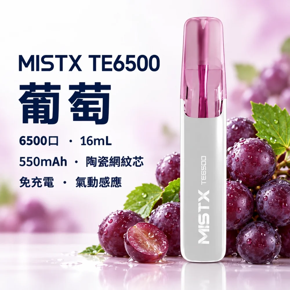 MISTX 鴨嘴獸 TE6500 拋棄式電子煙 6500口 13ml 陶瓷網紋芯