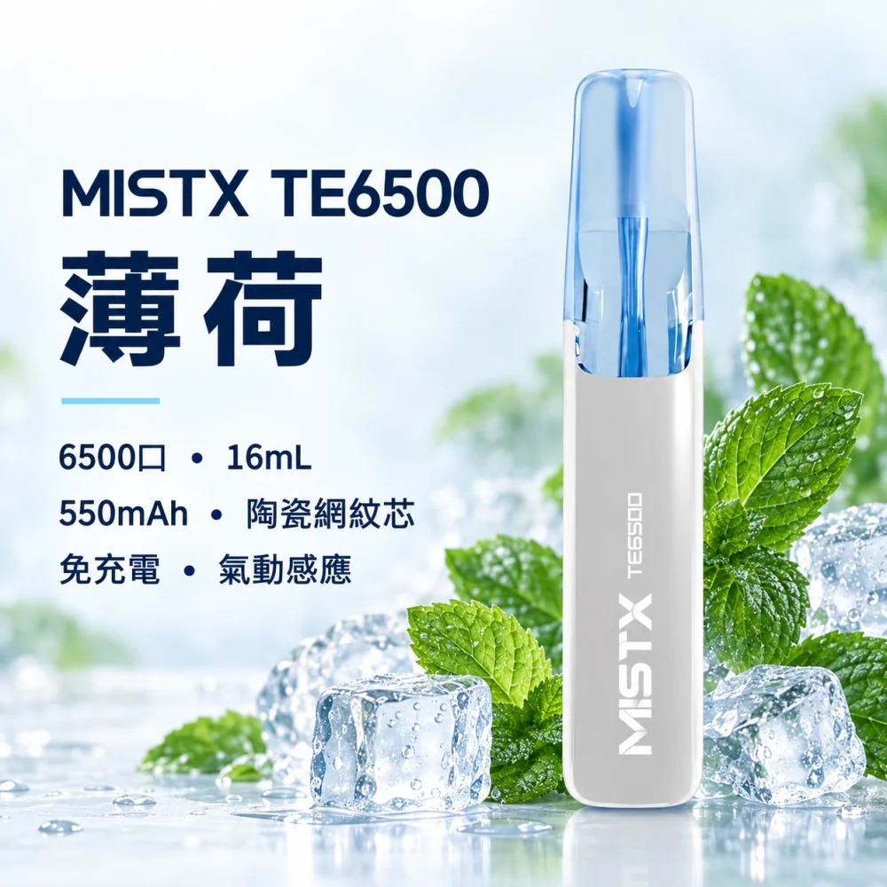 MISTX 鴨嘴獸 TE6500 拋棄式電子煙 6500口 13ml 陶瓷網紋芯
