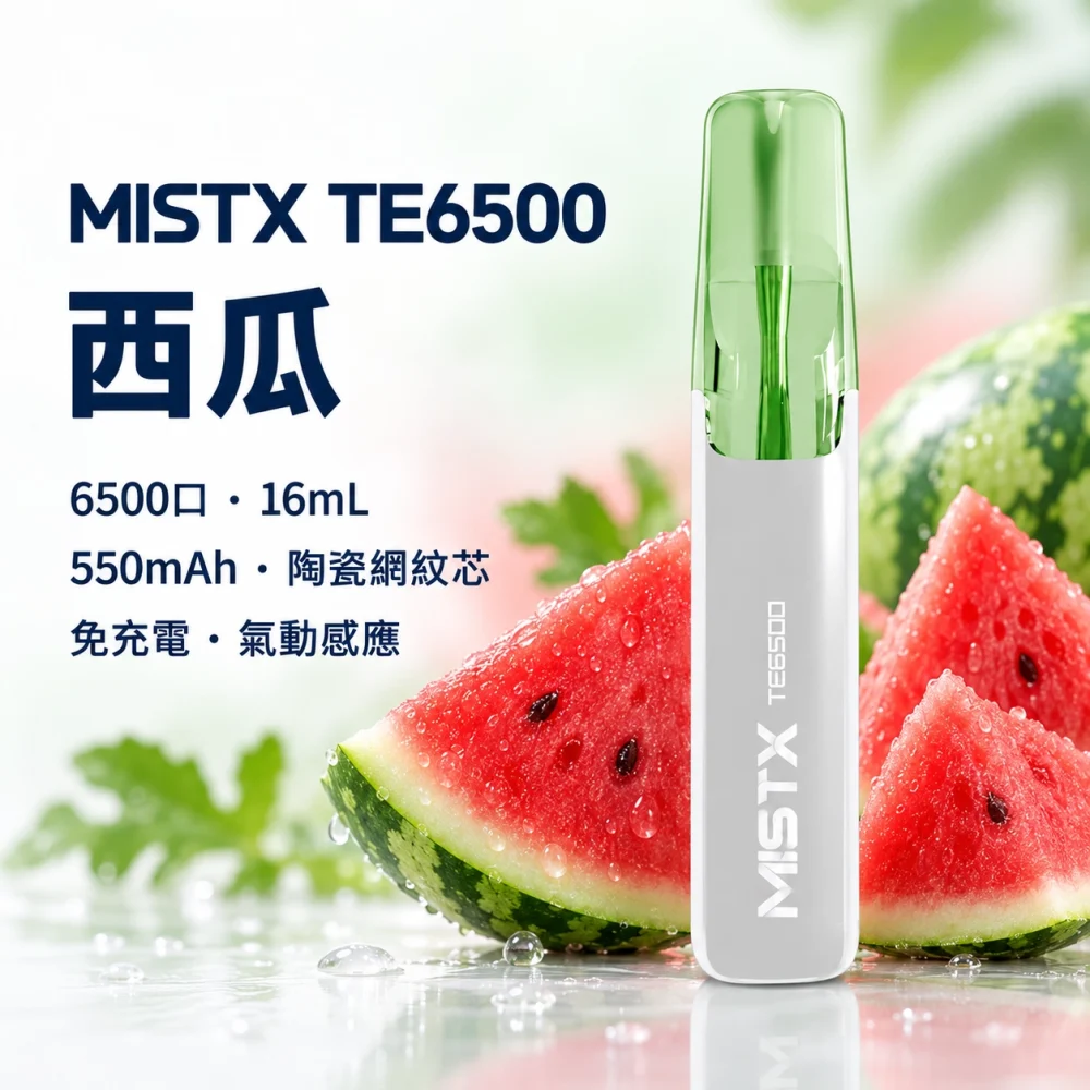 MISTX 鴨嘴獸 TE6500 拋棄式電子煙 6500口 13ml 陶瓷網紋芯