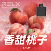RELX 悅刻 X-BOX 換彈式主機 Type-C 接口