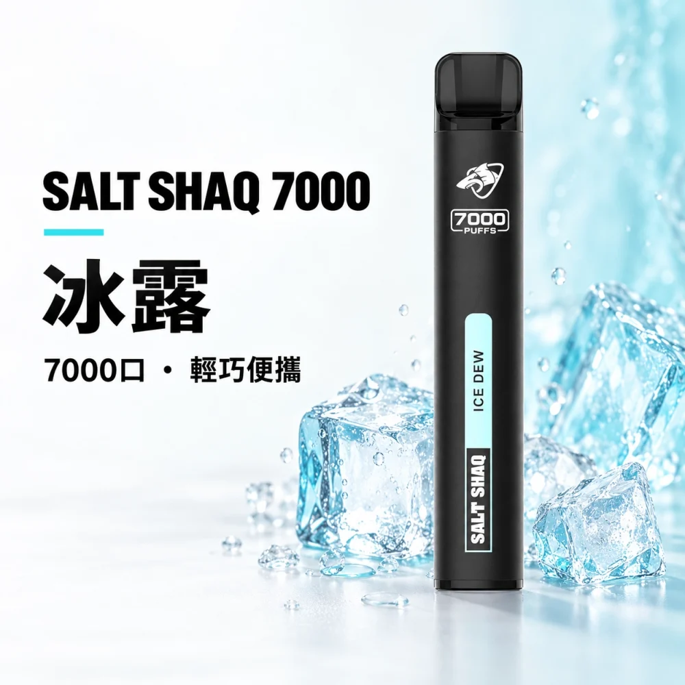 鯊克 SALT SHAQ 小黑條 拋棄式電子煙 7000口 Type-C