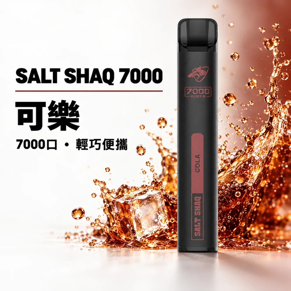 鯊克 SALT SHAQ 小黑條 拋棄式電子煙 7000口 Type-C