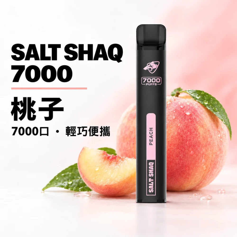 鯊克 SALT SHAQ 小黑條 拋棄式電子煙 7000口 Type-C