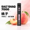鯊克 SALT SHAQ 小黑條 拋棄式電子煙 7000口 Type-C