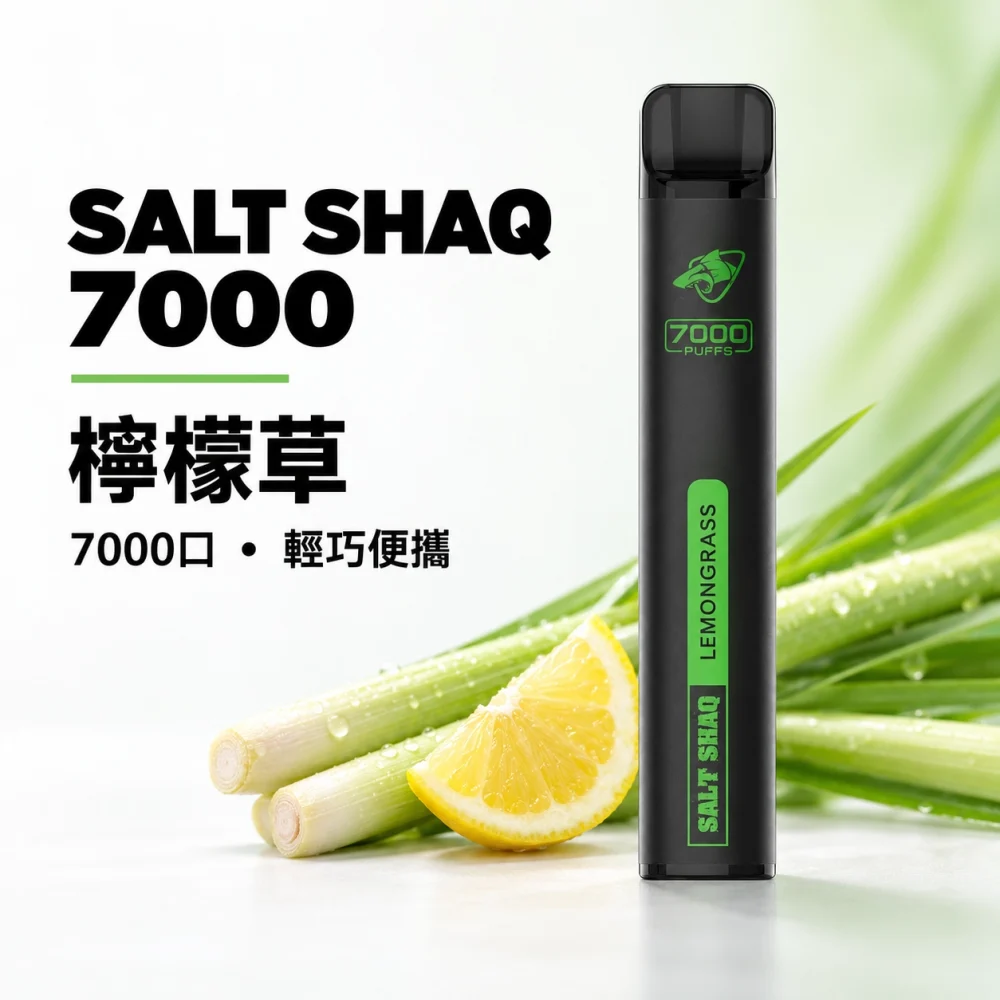 鯊克 SALT SHAQ 小黑條 拋棄式電子煙 7000口 Type-C