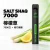 鯊克 SALT SHAQ 小黑條 拋棄式電子煙 7000口 Type-C