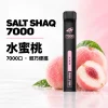鯊克 SALT SHAQ 小黑條 拋棄式電子煙 7000口 Type-C