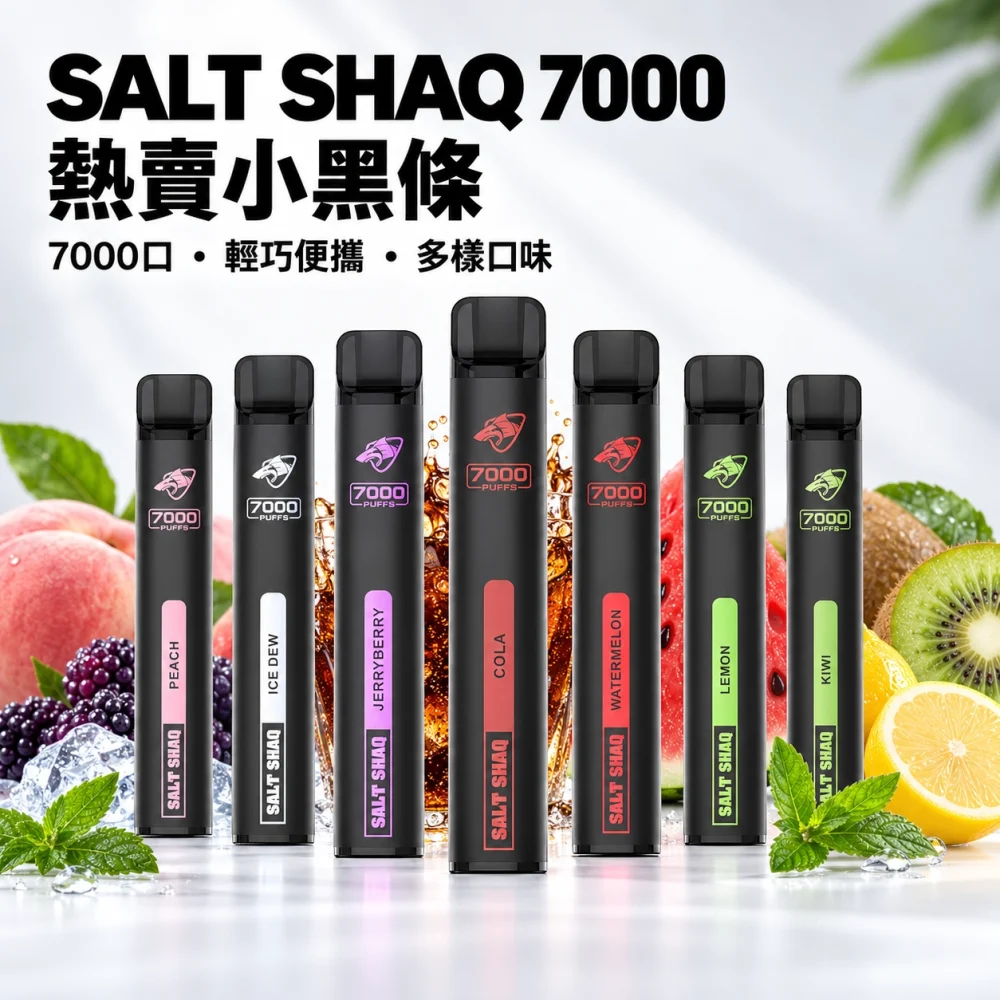 鯊克 SALT SHAQ 小黑條 拋棄式電子煙 7000口 Type-C