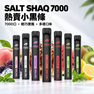 鯊克 SALT SHAQ 小黑條 拋棄式電子煙 7000口 Type-C