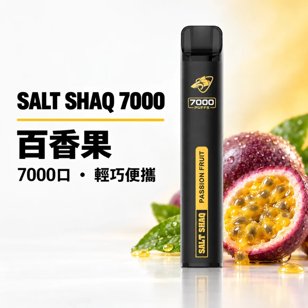 鯊克 SALT SHAQ 小黑條 拋棄式電子煙 7000口 Type-C