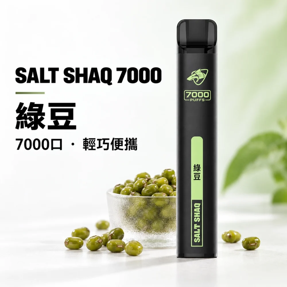鯊克 SALT SHAQ 小黑條 拋棄式電子煙 7000口 Type-C
