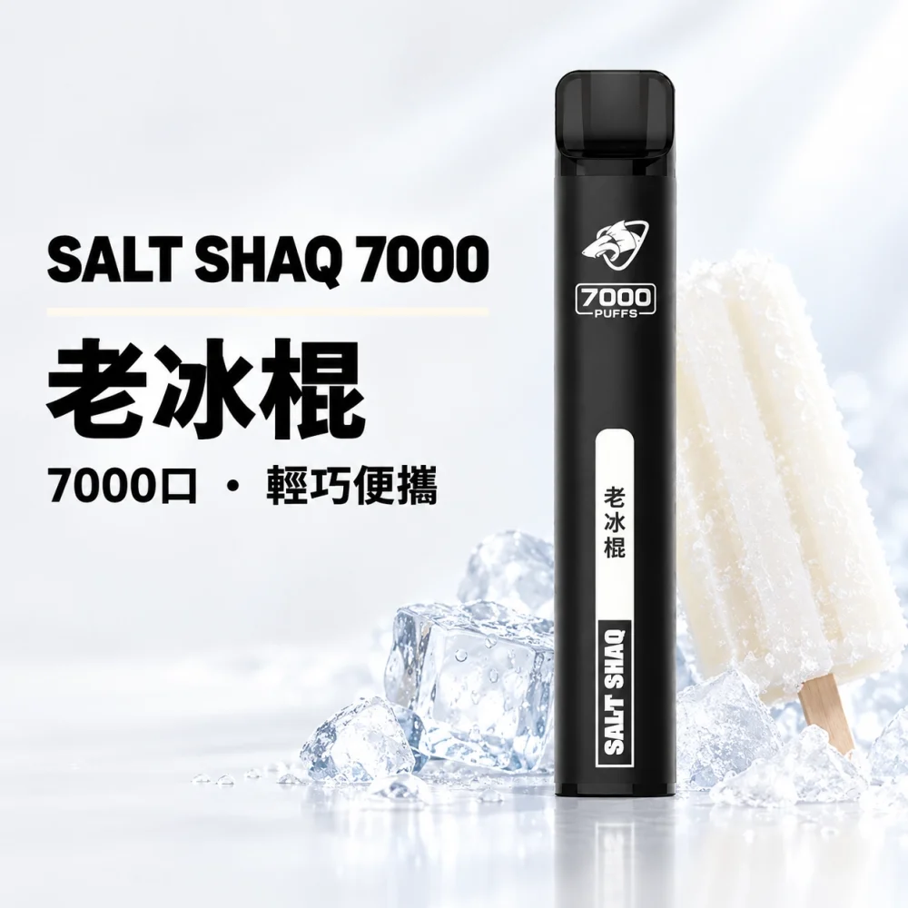 鯊克 SALT SHAQ 小黑條 拋棄式電子煙 7000口 Type-C