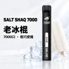 鯊克 SALT SHAQ 小黑條 拋棄式電子煙 7000口 Type-C