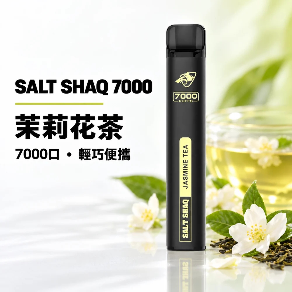 鯊克 SALT SHAQ 小黑條 拋棄式電子煙 7000口 Type-C