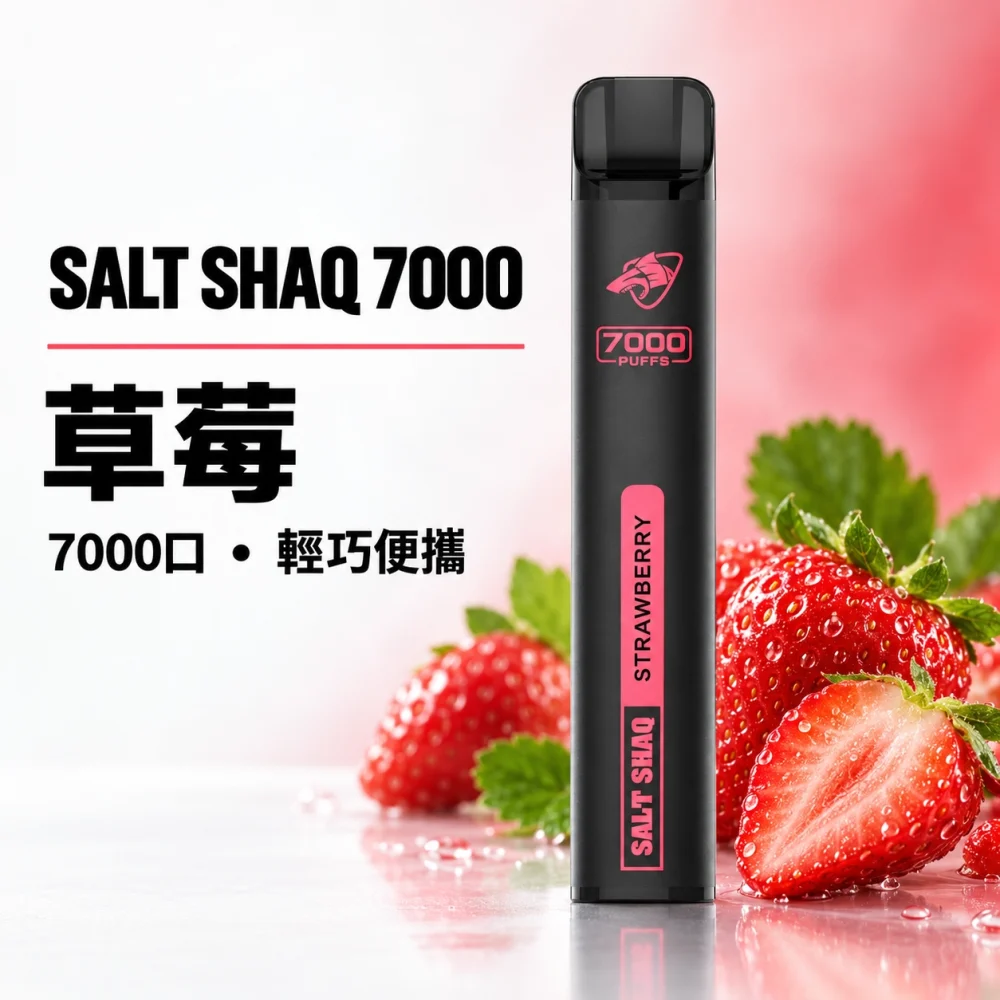 鯊克 SALT SHAQ 小黑條 拋棄式電子煙 7000口 Type-C