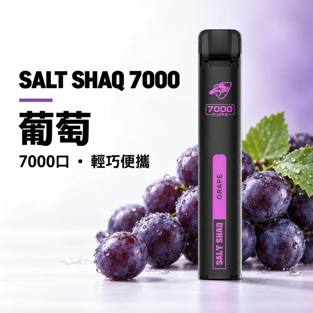 鯊克 SALT SHAQ 小黑條 拋棄式電子煙 7000口 Type-C