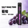 鯊克 SALT SHAQ 小黑條 拋棄式電子煙 7000口 Type-C