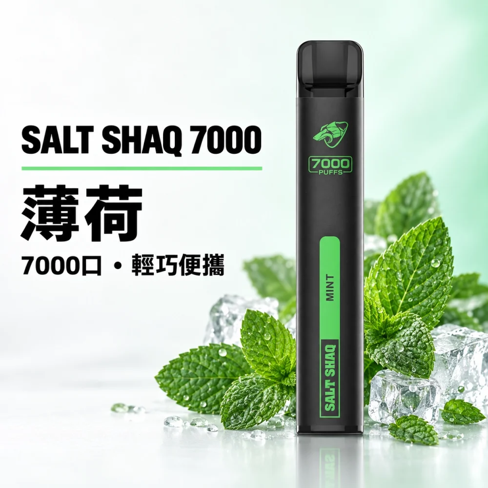 鯊克 SALT SHAQ 小黑條 拋棄式電子煙 7000口 Type-C