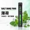 鯊克 SALT SHAQ 小黑條 拋棄式電子煙 7000口 Type-C