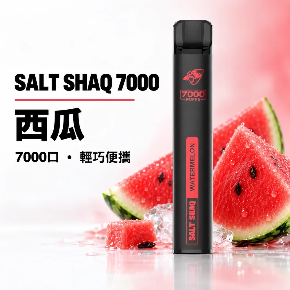 鯊克 SALT SHAQ 小黑條 拋棄式電子煙 7000口 Type-C