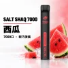 鯊克 SALT SHAQ 小黑條 拋棄式電子煙 7000口 Type-C
