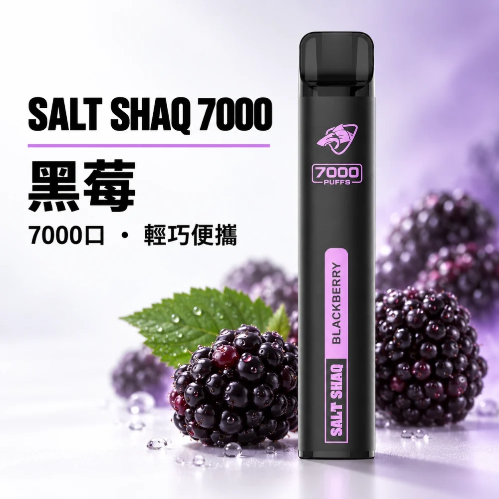 鯊克 SALT SHAQ 小黑條 拋棄式電子煙 7000口 Type-C