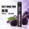 鯊克 SALT SHAQ 小黑條 拋棄式電子煙 7000口 Type-C