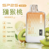 SP2S 思博瑞 SP2S GEM 拋棄式電子煙 9000口 Type-C充電