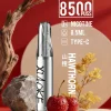 XIAOKE 梟客 口紅款 拋棄式電子煙 8500口 8.5ml 氣流可調 Type-C充電