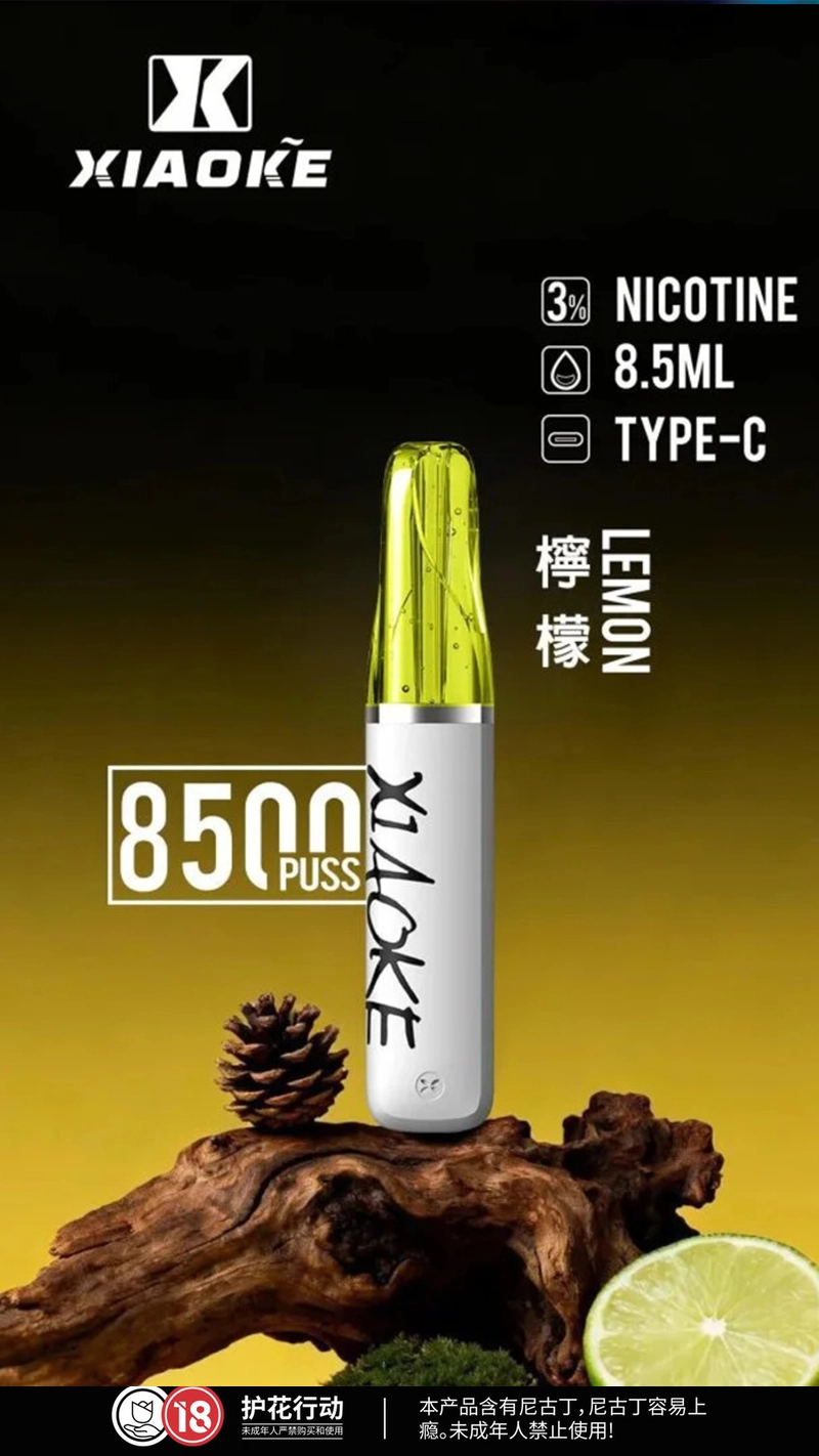 XIAOKE 梟客 口紅款 拋棄式電子煙 8500口 8.5ml 氣流可調 Type-C充電