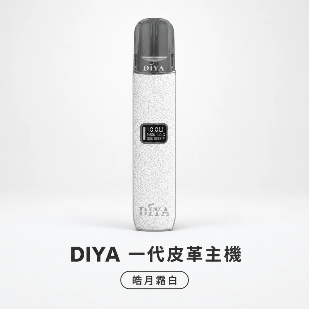 DIYA 叮啞 一代皮革系列顯示主機 Type-C 換彈式主機