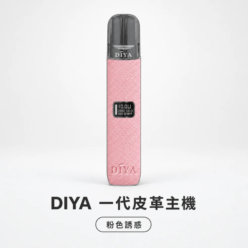 DIYA 叮啞 一代皮革系列顯示主機 Type-C 換彈式主機