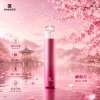 XIAOKE 梟客 五代智能調壓換彈式主機 Type-C 380mAh