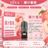 DIYA 叮啞 一代通用替換式煙彈 2.5mL 1.2Ω網狀芯 三入裝